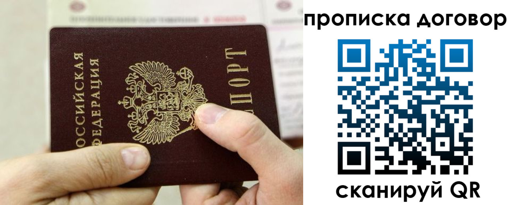 прописка регистрация в Светлом